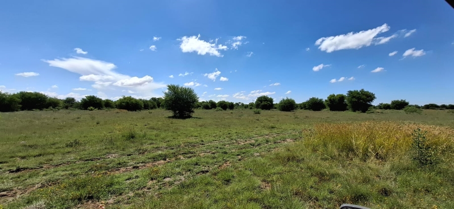 Commercial Property for Sale in Bloemfontein Rural Free State